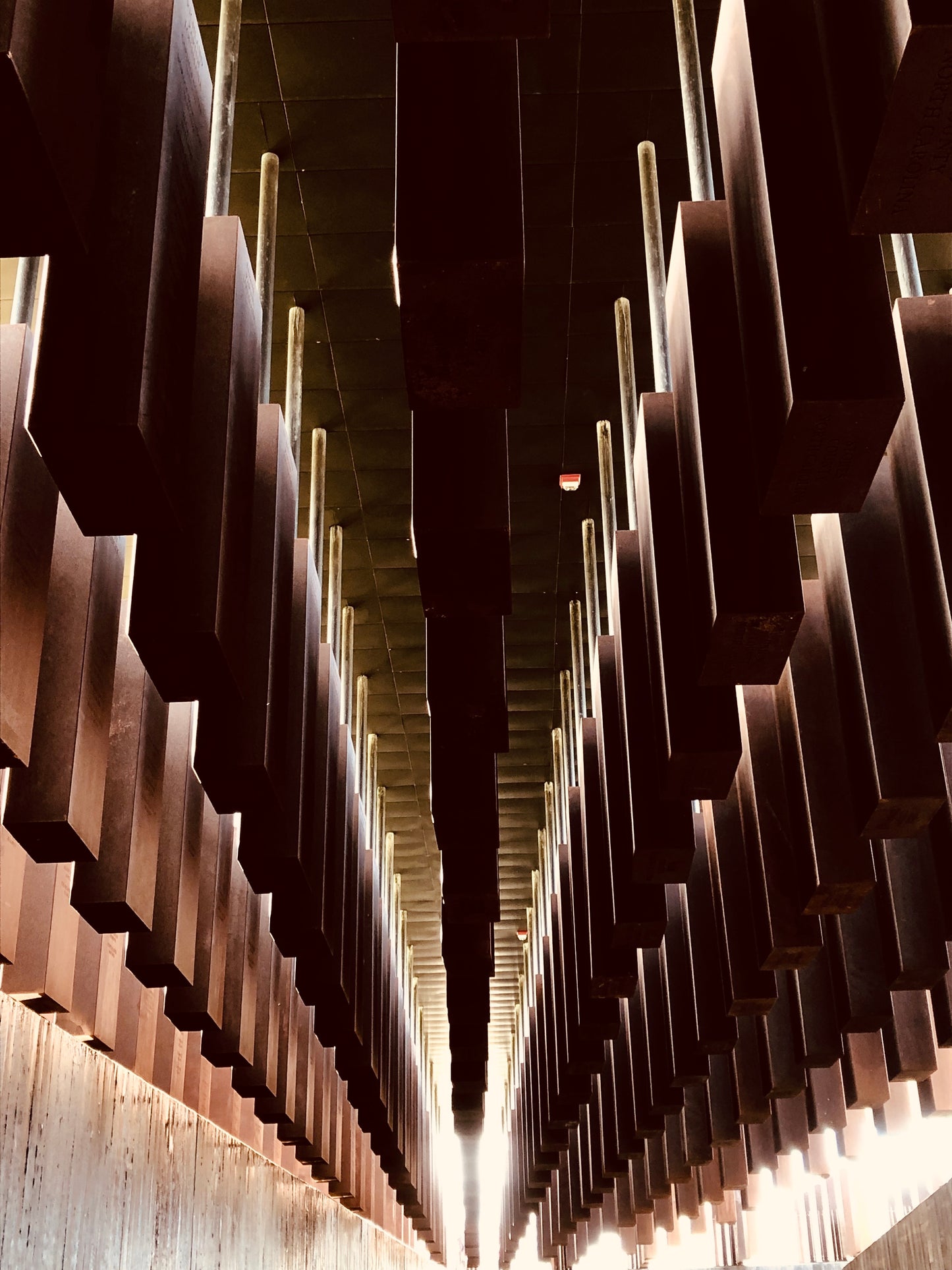 "Too Many" EJI Lynching Memorial (8" x 10" Photo Print)