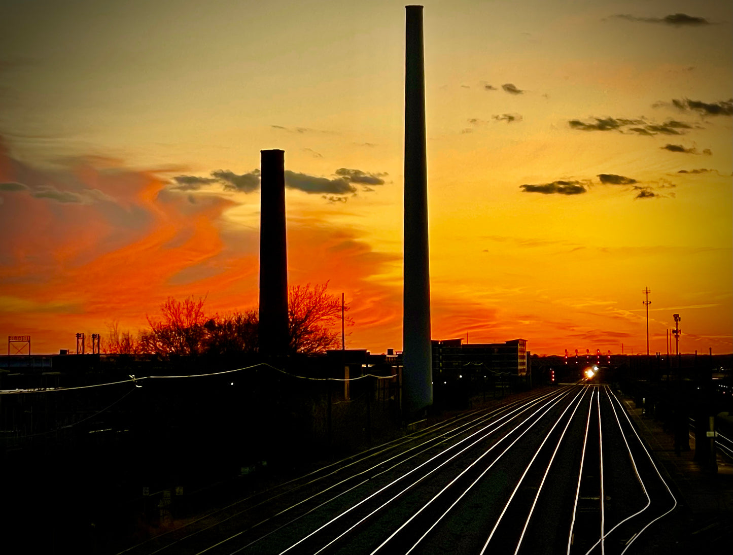 "Making Tracks at Sunset", (Photo Print 8" x 10") HORIZ